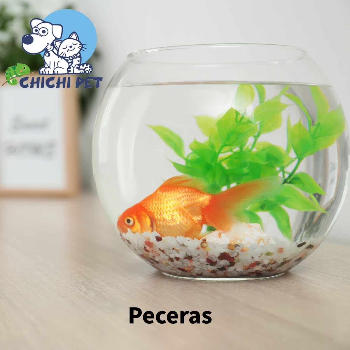 Peceras