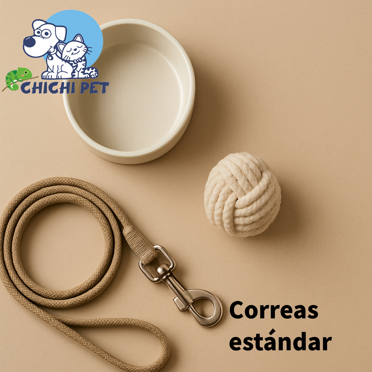 Correas Estándar