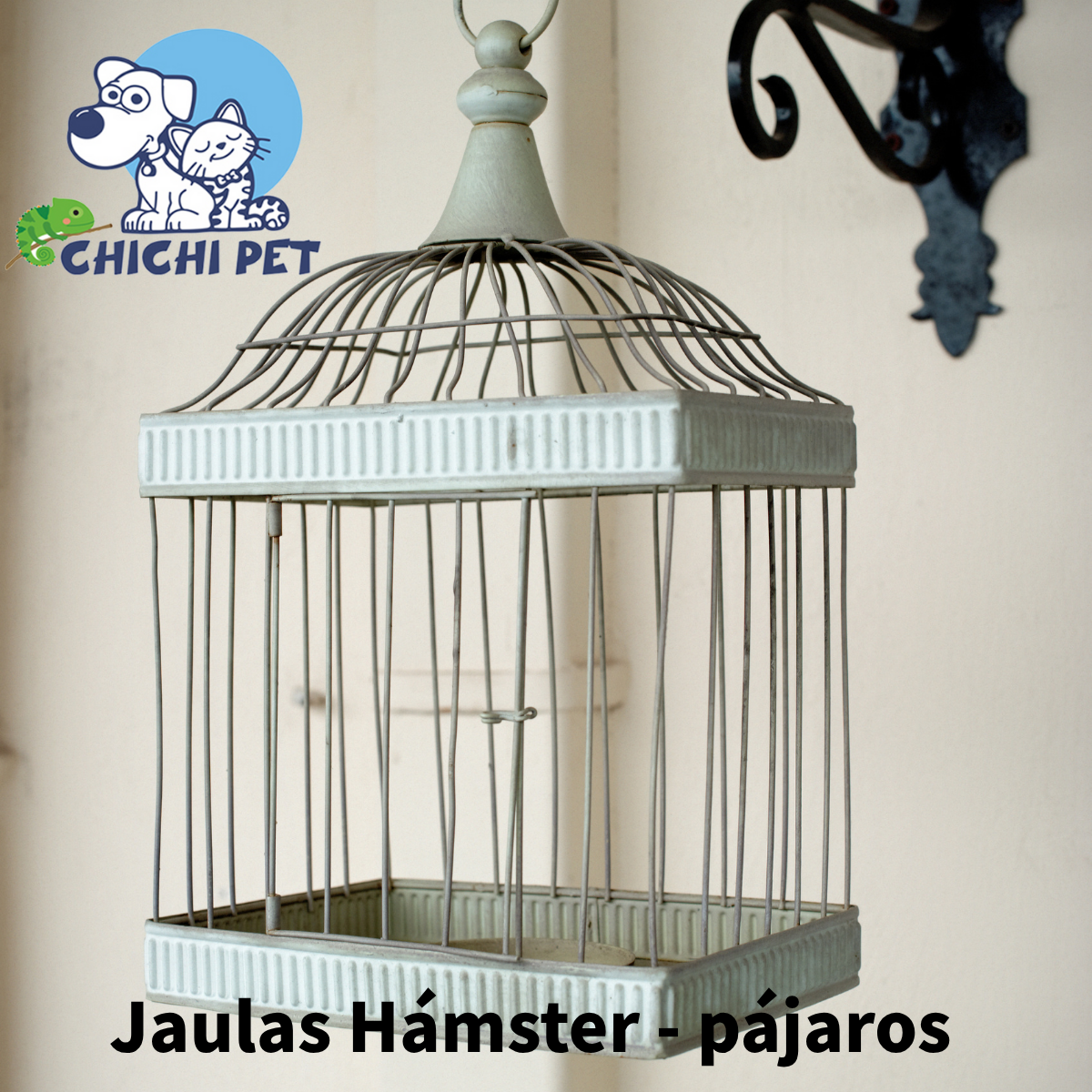 Jaulas Hámster - pájaros